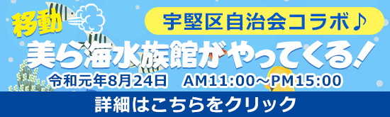 移動水族館　8月24日